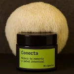 Conecta.webp Melena de León en Polvo – Hericium erinaceus