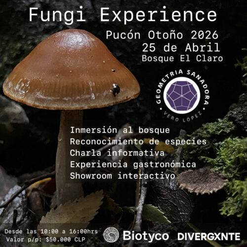 Fungi Experience Pucón Otoño 2026