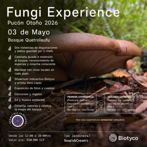 Fungi Experience Pucón 3 de Mayo 2026